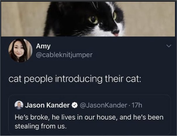 caturday peoplemajorgeeks.jpg